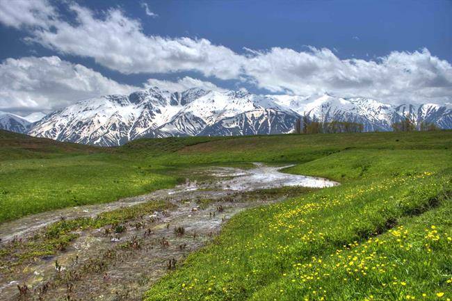 روستای پیچه بن