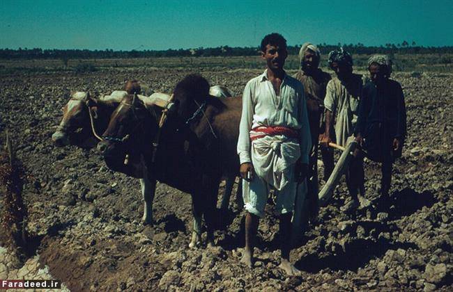 (تصاویر) سال1337؛ امریکایی‌ها در آبادان