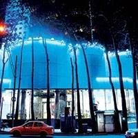 حیات چنارهای ولیعصر بازیچه مقاصد اقتصادی