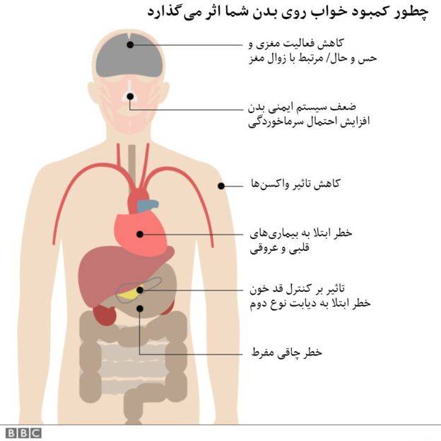 10 نکته حیاتی درباره اهمیت خواب