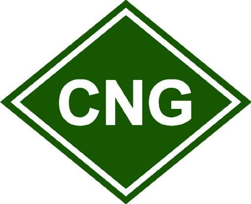 اخذ مجوز برای صادرات CNG از شرکت ملی گاز