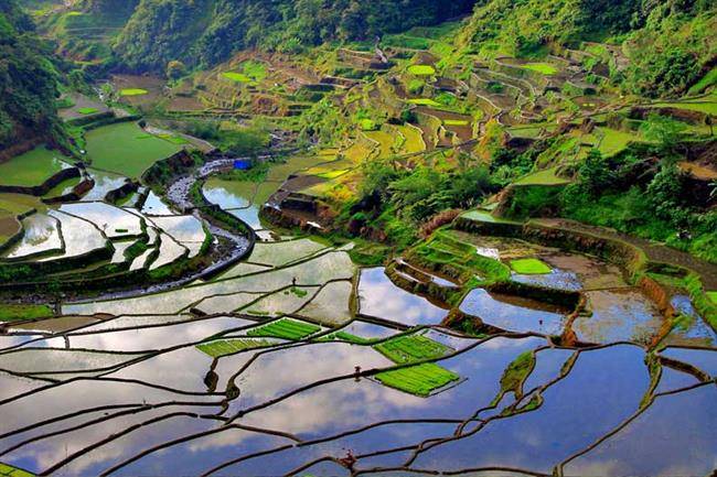  Banaue