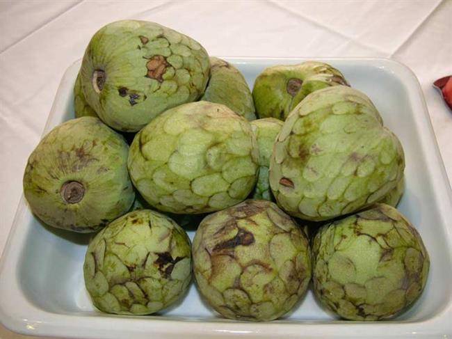 میوه چری مویا