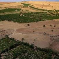 بزودی به عزای منابع طبیعی و محیط زیست ایران خواهیم نشست