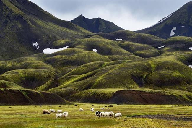 دنیای سحرآمیز ایسلند 