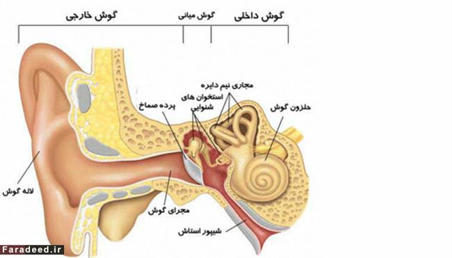 نکات مهم در حفاظت از شنوایی