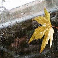 بارش پراکنده برف و باران در تهران و شمال کشور/ از شنبه همه جای کشور باران می بارد