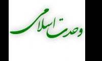 راه کارهاى تحکیم وحدت اسلامى از نگاه امامان شیعه(علیه السّلام) (3)