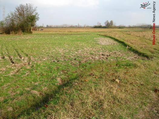 ورود دستگاه قضایی برای حل مشکلات حق آبه روستای سرای محله/ ارائه راهکارهای قضایی در خصوص توزیع عادلانه منابع آب