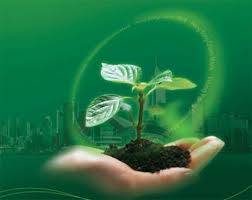 مدیریت سبز نگرشی در حکمرانی توسعه پایدار است