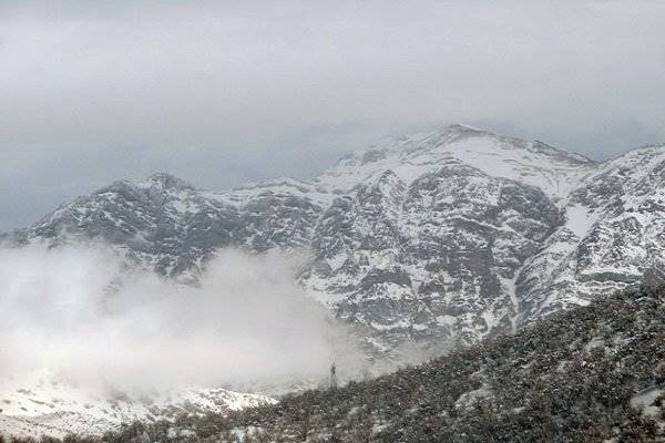 تلاش تکاوران ارتش برای دستیابی به محل سقوط هواپیمای تهران - یاسوج