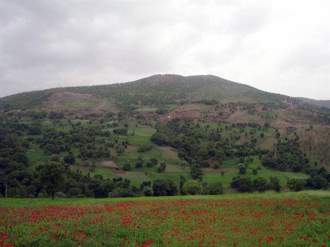 روستای نجنه علیا