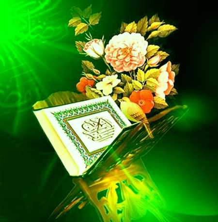 دلیل روشن و حجت آشکار