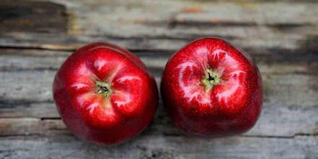 هسته های سیب جزو غذاهای سمی هستند