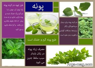 خاصیت های عرق پونه