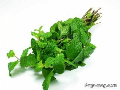 خواص بی نظیر عرق پونه