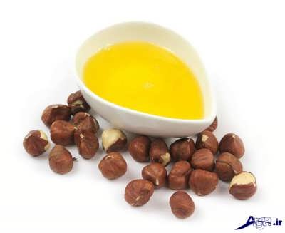 آشنایی با انواع فواید روغن فندق 