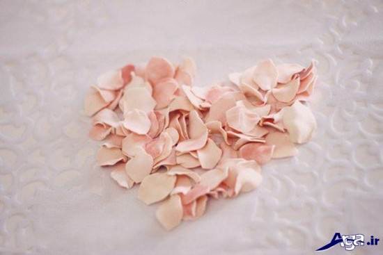 Flowering with foam (3)