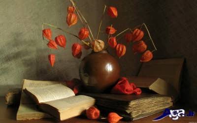 جملات قصار زیبا