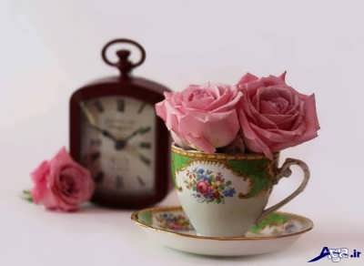 اس ام اس مفهومی زیبا