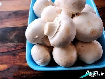 قارچ بزرگ برای تهیه قارچ شکم پر
