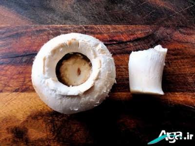 ساقه جدا شده از قارچ