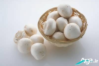 قارچ های مرغوب