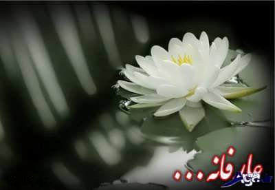 پیامک عارفانه