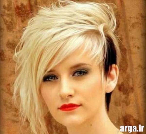 Hairdressing short (14)