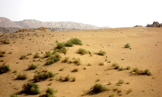 منطقه حفاظت شده میشداغ – ام الدبس در استان خوزستان