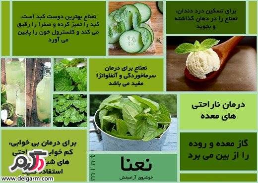 چندین خواص شگفت انگیز نعنا برای سلامتی