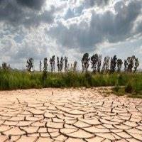 تغییرات اقلیمی تهدیدی جدی برای تامین امنیت غذایی