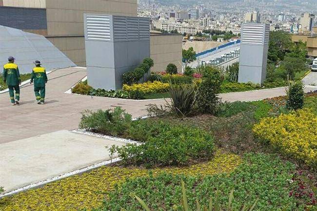 باغ کتاب فضای سبز