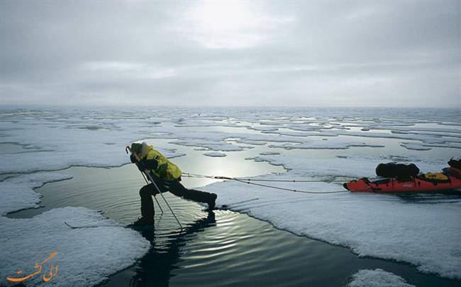 قطب شمال ؛ Arctic Pole