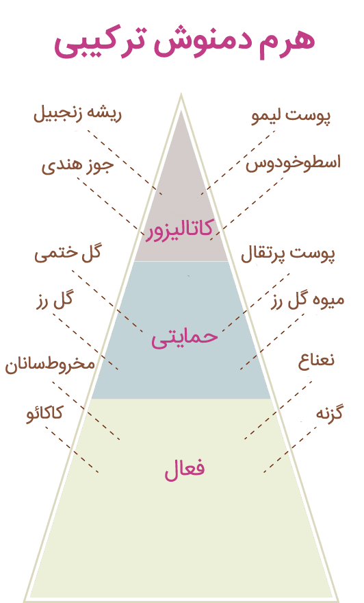 هرم دمنوش های ترکیبی