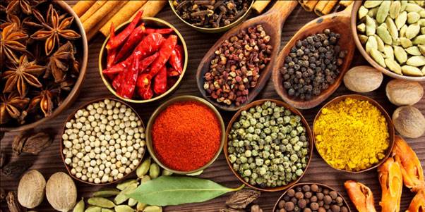 فرهنگ غذایی