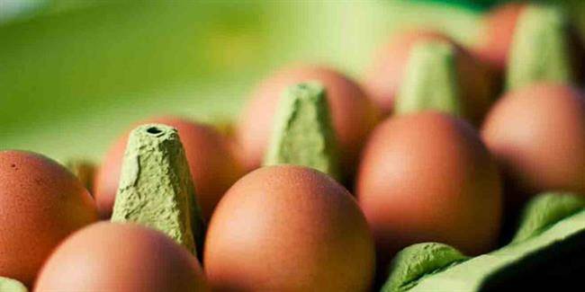 فواید تخم مرغ برای تضمین سلامت چشم ها