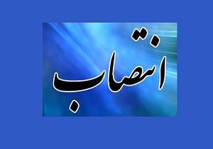 مسعود زندی رئیس مرکز ملی هوا و تغییر اقلیم سازمان حفاظت محیط زیست شد