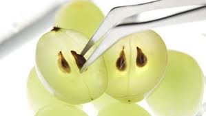 روغن هسته انگور بیماری‌های قلبی را بهبودی می‌بخشد