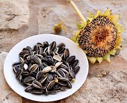 آفتابگردان گیاهی برای کاهش فشار خون