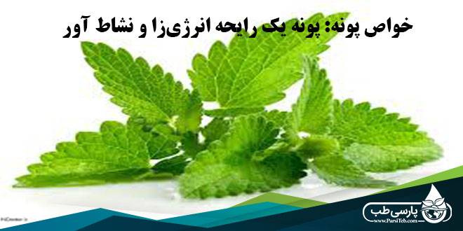 خواص پونه: پونه یک رایحه انرژی‌زا و نشاط‌ آور