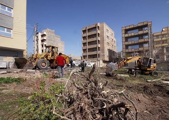 هیچ مجوزی برای قطع درختان بیمارستان هفتم تیر صادر نمی شود