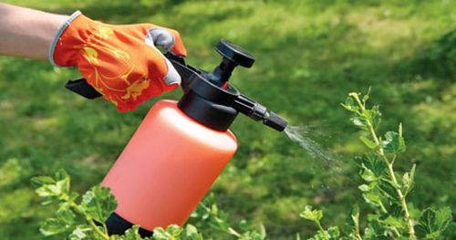 خروج 16میلیون دلار ارز برای واردات حشره کش