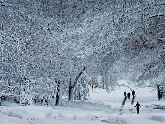 معجزه‌ای به نام طبیعت؛ فواید طبیعت گردی برای بدن