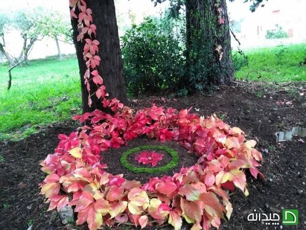 طراحی پای درختان با کمک لندآرت طراحی پای درختان با کمک لندآرت