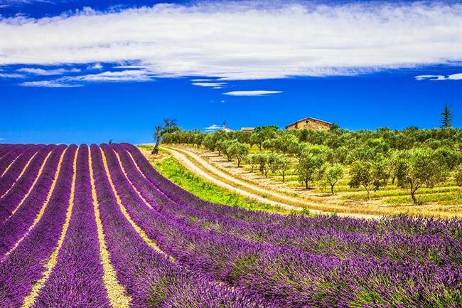 برنامه ریزی دوم : سفر دو هفته ای به فرانسه ؛ در سرزمین خورشید