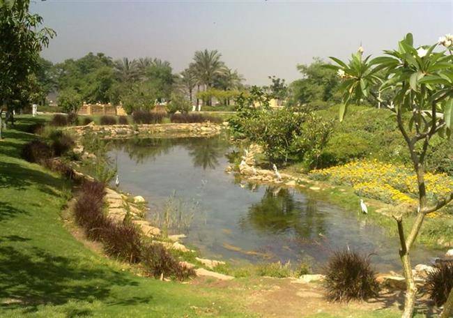 پارک الازهر
