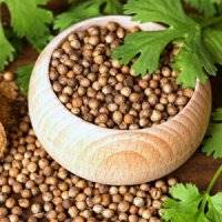 بذر گشنیز؛ دانه های عطرآگین سلامتی!