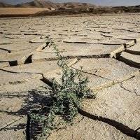اروپایی‌ها چطور در مواجهه با معضل کم‌آبی الگوهای مصرف‌شان را تغییر می‌دهند