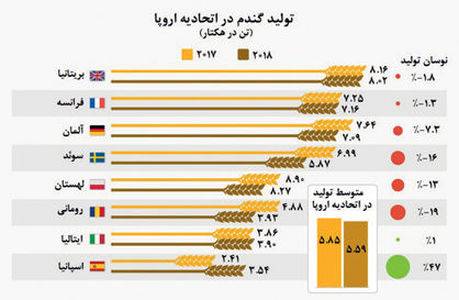 بررسی نوسان تولید گندم در اتحادیه اروپا